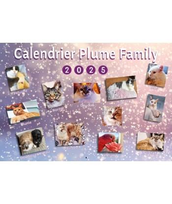 copy of Calendrier Plume...