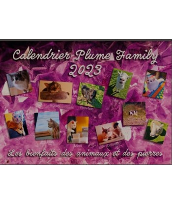 copy of Calendrier Plume...