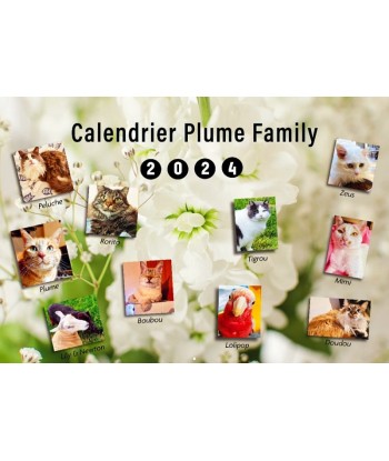 Calendrier Plume Family...